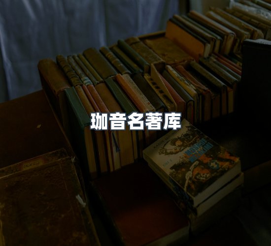 关于珈音名著库